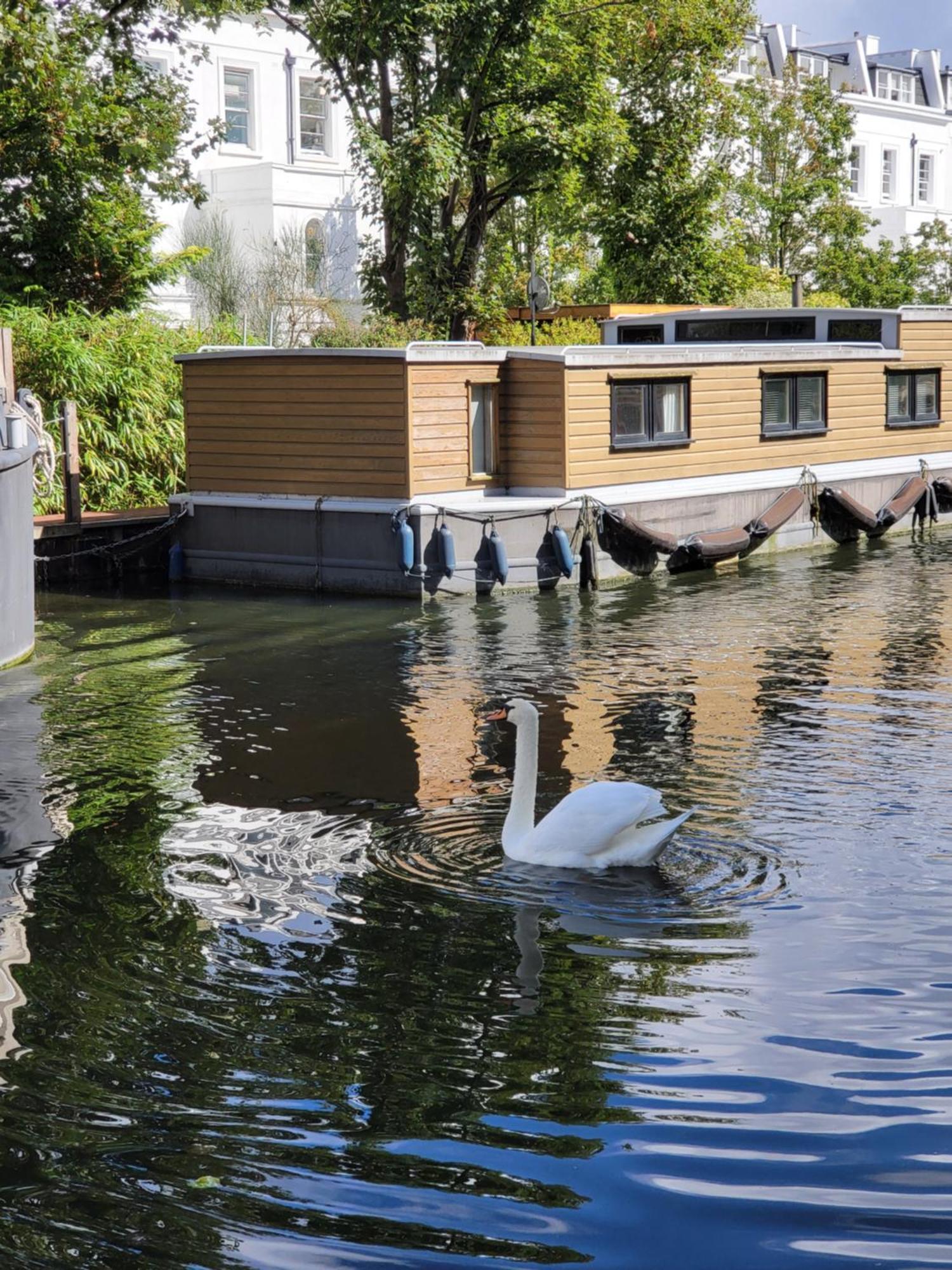 Lovely Canal Boat In Little Venice For Family & Friends London